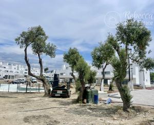 Costa del SOL - MARBELLA 2 spálňový Nový apartmán s veľkou terasou