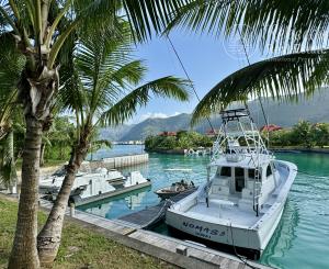 SEYCHELY / MAHÉ / Eden Island / LOFT APARTMÁN s terasou a výhľadom na oceán *