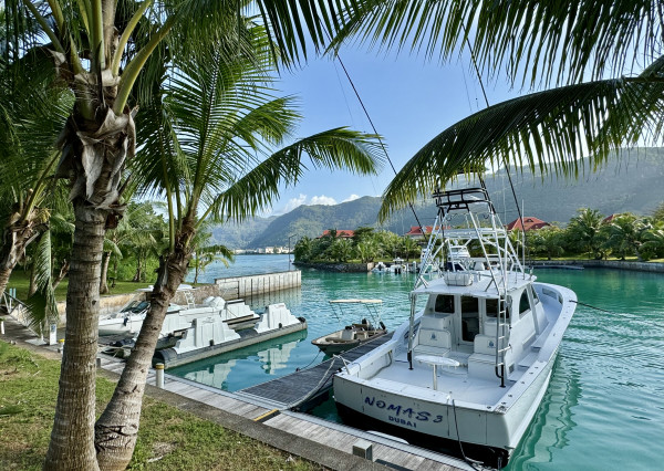Loft Apartmán Seychely s terasou a výhľadom na oceán