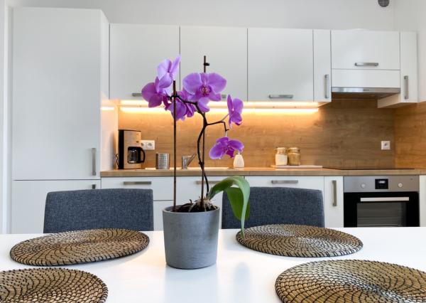 2 Bedrooms appartment near Nivy in Old Town with parking