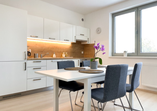 2 Bedrooms appartment near Nivy in Old Town with parking