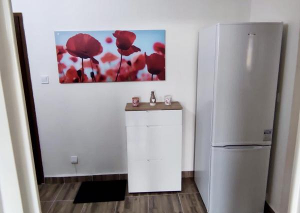 Veľký 2 izbový byt s balkónom a krásnym výhľadom